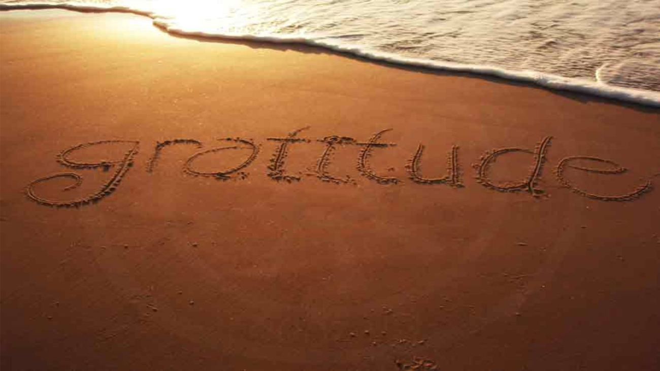 Gratitude and thankfulness