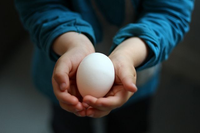 A WOMAN IS LIKE AN EGG: HANDLE HER WITH CARE